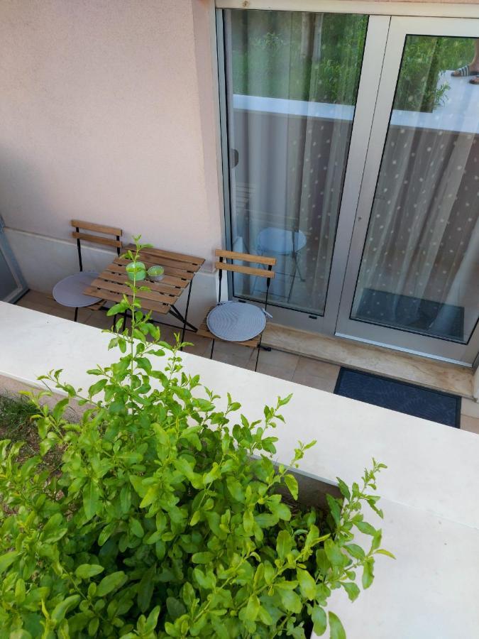 Apartment Zenta With Free Private Parking *